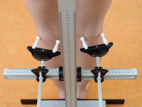 KRM (KNEE ROTATION MEASURER)