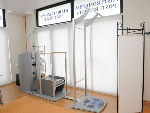 SISTEMA GPS (GLOBAL POSTURAL SYSTEM)
